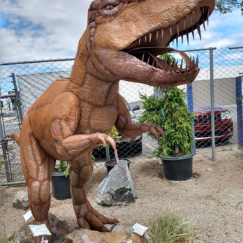 Creative Gardens - Landscaping Near Me - Sparks, Nevada