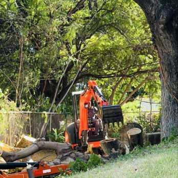 Treescape Hawaii - Commercial Project Waianae - Branch/Log clearing - Tree Services Near Me - Ewa Beach, Hawaii