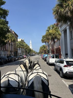 Palmetto Carriage Works by null