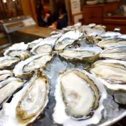 Merle Huitres et Coquillages