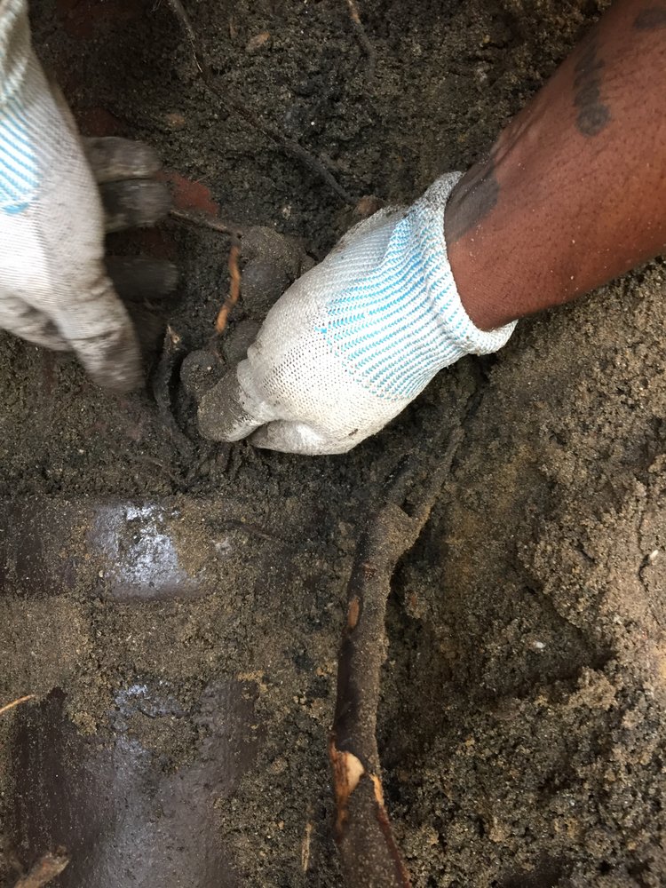 Slide of Done Right Sewer and Drain