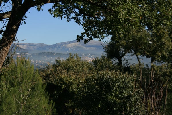 Terre Blanche by null