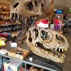 Tyrannostorus - More festive bones.