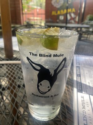 The Blind Mule by null
