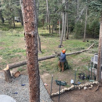 Whispering Pines Tree Service - Tree Services Near Me Whispering Pines Tree Service - Tree Services Near Me