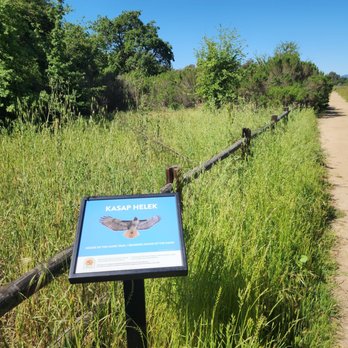 Ojai Meadows Preserve Trail - House of the hawk trail - Hiking Near Me - Ojai, California