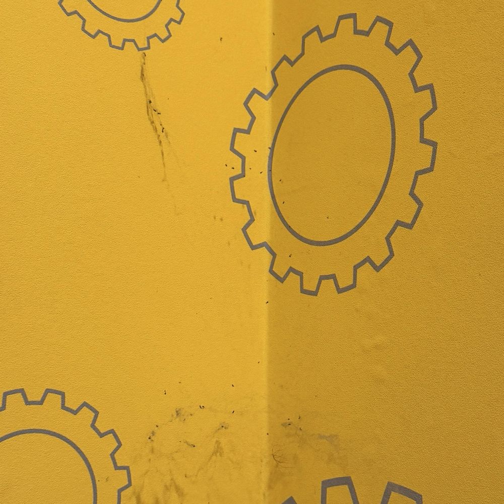 Webs, spiders, and gnats all over the wall right next to my work out station. What's going on with the cleanliness? Webs, spiders, and gnats all over the wall right next to my work out station. What's going on with the cleanliness?