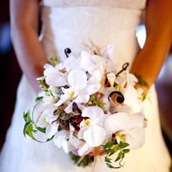 Parie Designs - Gorgeous wedding flowers, decor & wedding planning