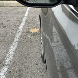 My $23 plate