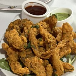 Kaashi Indian Cuisine - Onion Bahji