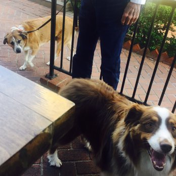 The Table & Vine - Woof Friendly. - Caterers Near Me