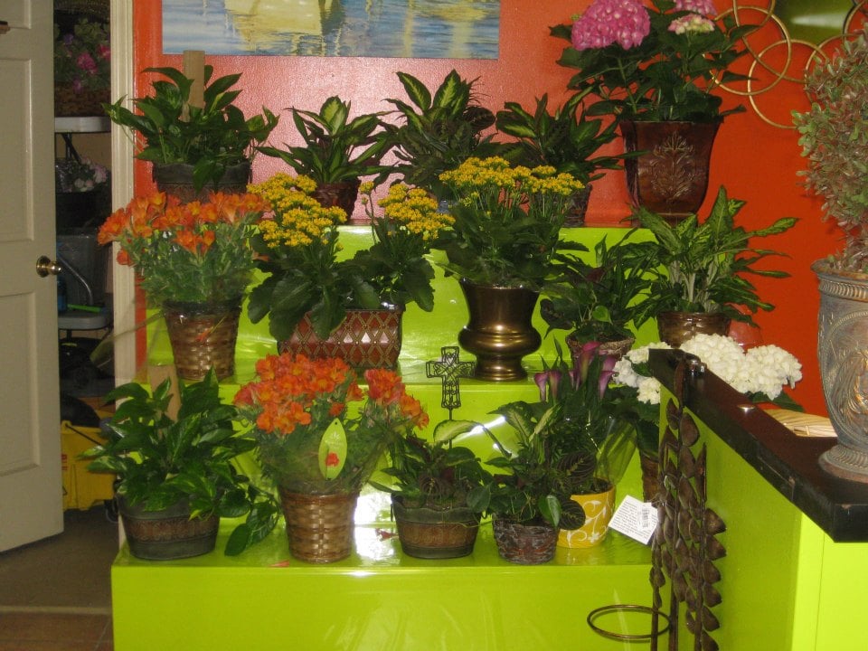FLORIST PLUS Updated October 2024 7938 Vaughn Rd, Montgomery