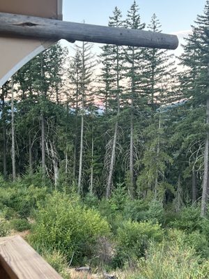 Under Canvas Columbia River Gorge by null