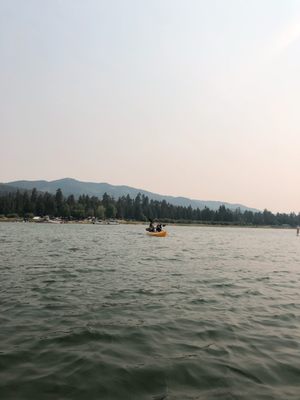 PADDLES AND PEDALS - Updated September 2024 - 82 Photos & 77 Reviews