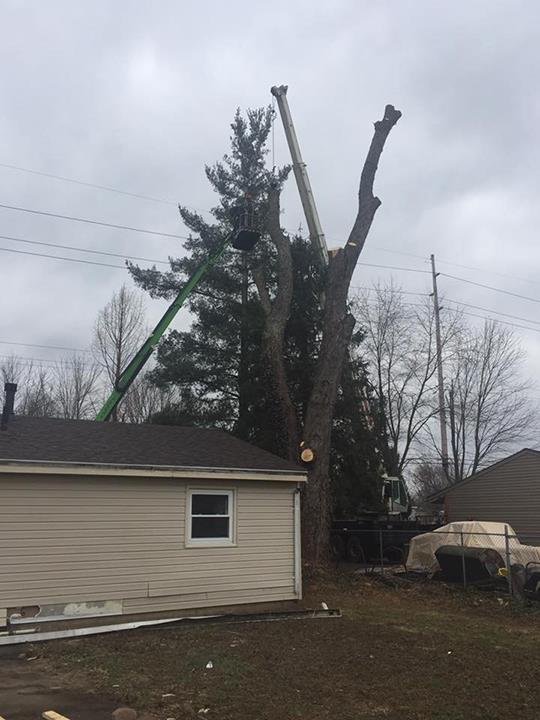 Slide of Heeter Enterprises Tree Service and Landscaping