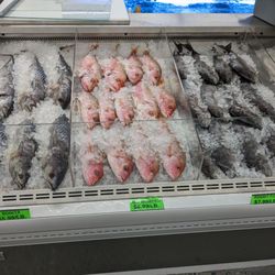 Asiana Market - Fish and more to come including live fish tanks!