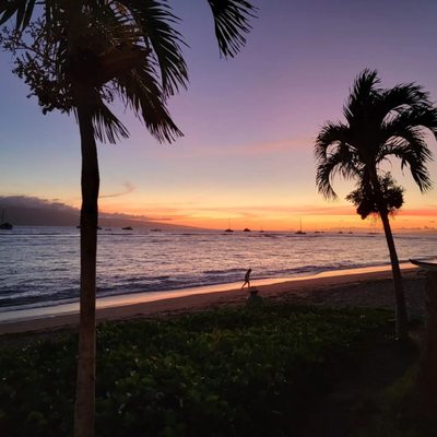 Pacific'o on the Beach by null
