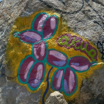 Pumpkin Rock Trail - Some graffiti art on surrounding rocks - Hiking Near Me - Norco, California