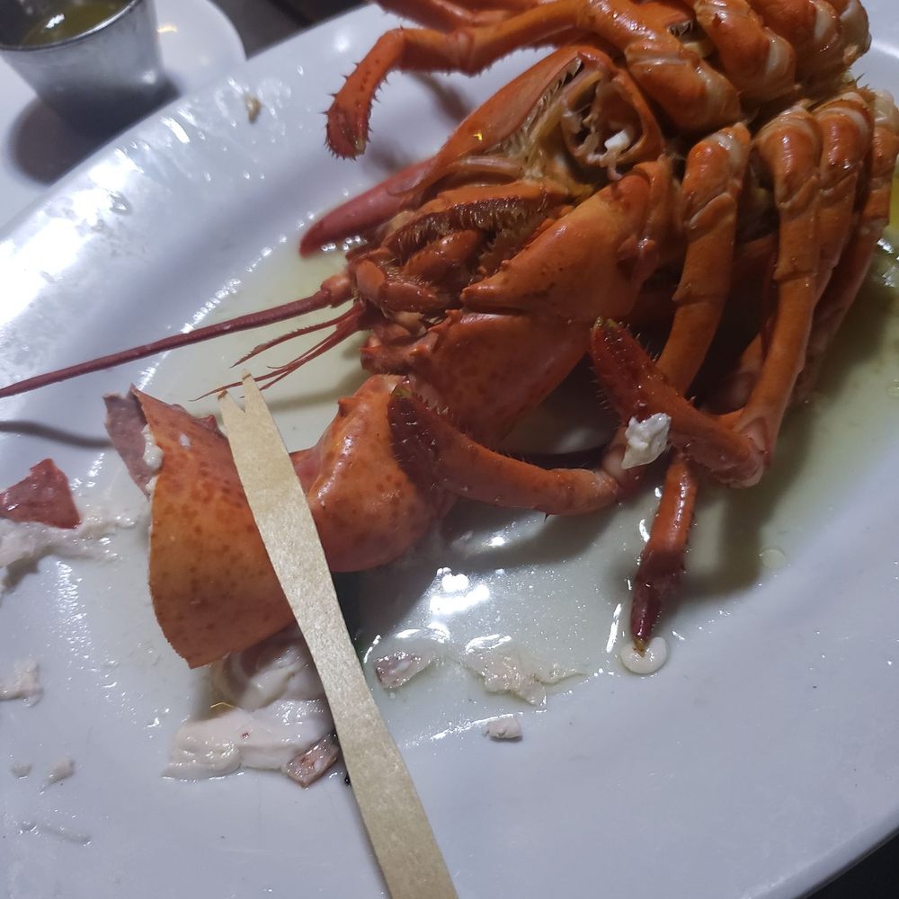The Rum Runner - They serve lobster but don't offer lobster forks. Really? These wooden substitutes don't quite cut the mustard. - Seafood Near Me - Sea Bright, New Jersey The Rum Runner - They serve lobster but don't offer lobster forks. Really? These wooden substitutes don't quite cut the mustard. - Seafood Near Me - Sea Bright, New Jersey