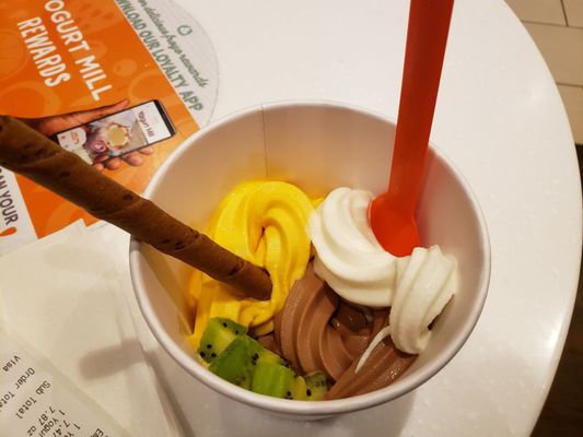 Manteca yogurt froyo frozen