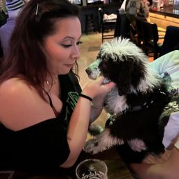 doggo (not on tap)