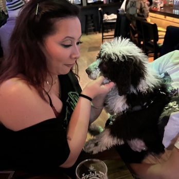 Hendrickson’s - doggo (not on tap) - Beer Bar Near Me - New York, New York