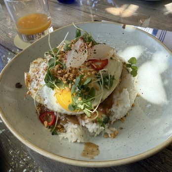 Hau Tree - Loco Nico - Seafood Near Me - Honolulu, Hawaii