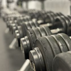 Utopia Fitness - Utopia Fitness