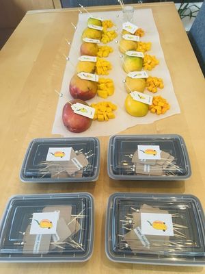 AumPi - Premium Indian Mangos by null