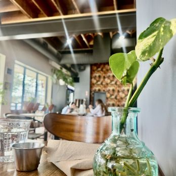 Rooted Table - Juice Bars & Smoothies Near Me - Omaha, Nebraska Rooted Table - Juice Bars & Smoothies Near Me - Omaha, Nebraska