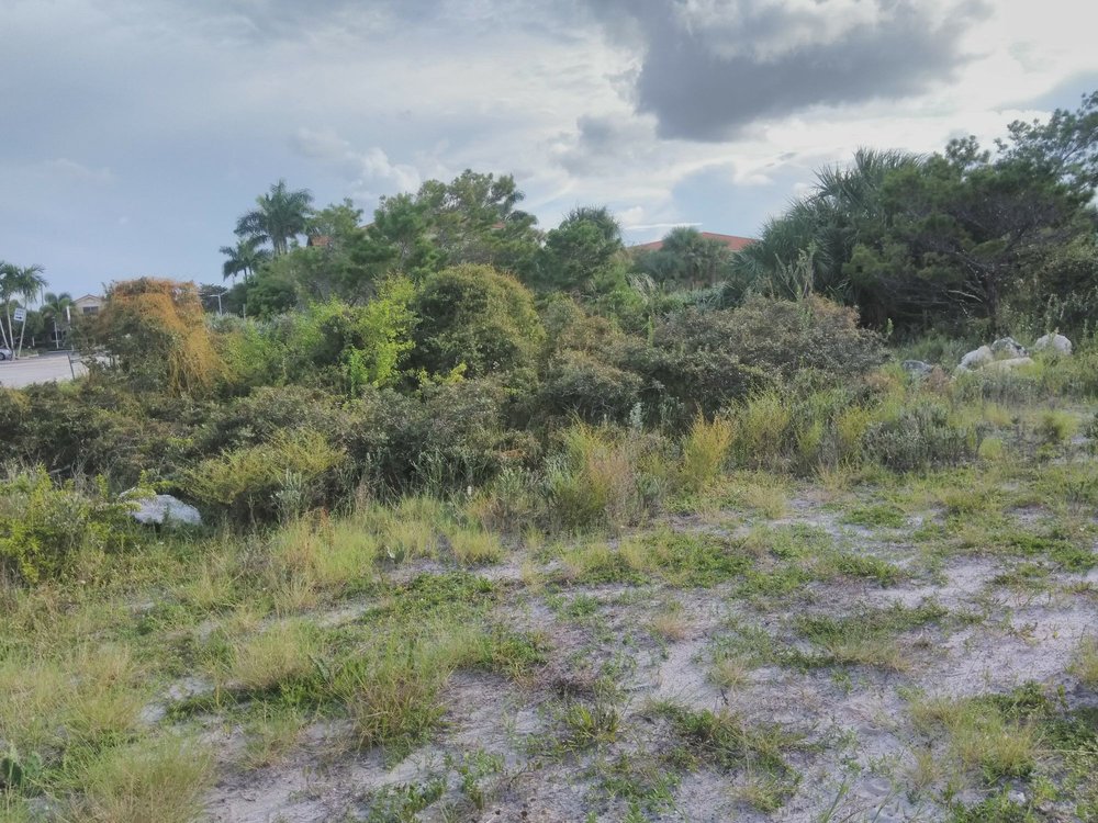 DEERFIELD HIGHLANDS NATURE PRESERVE Updated August 2024 10 Photos