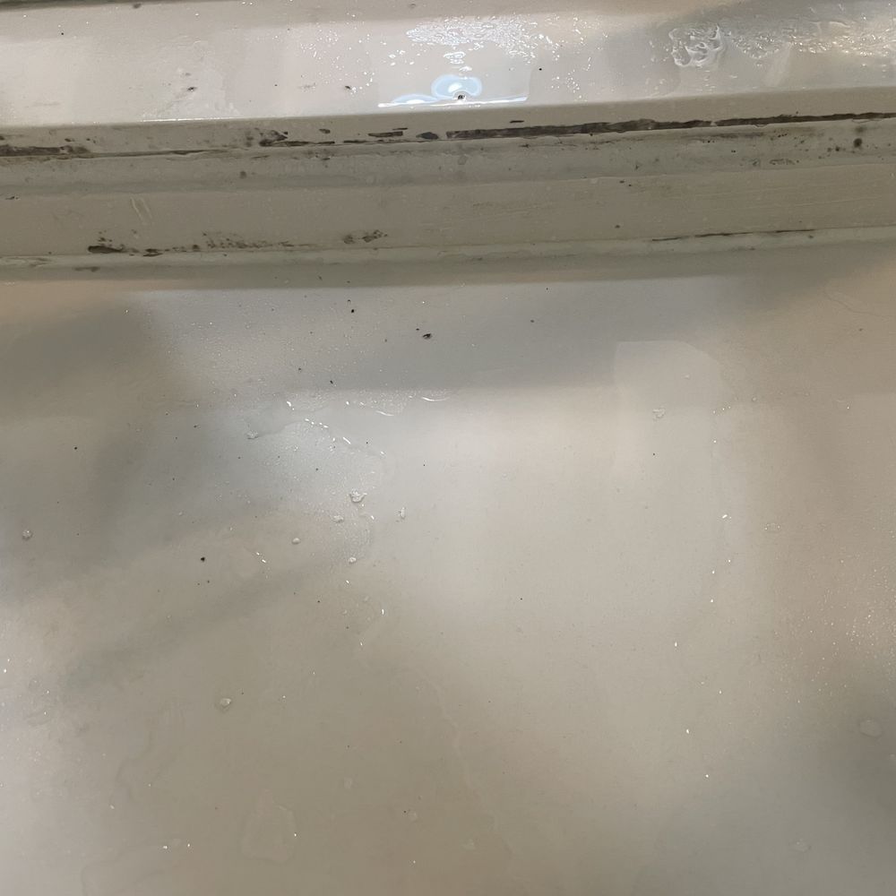 RealJoy Vacations - Mold in Shower - Vacation Rentals Near Me - Destin, Florida RealJoy Vacations - Mold in Shower - Vacation Rentals Near Me - Destin, Florida