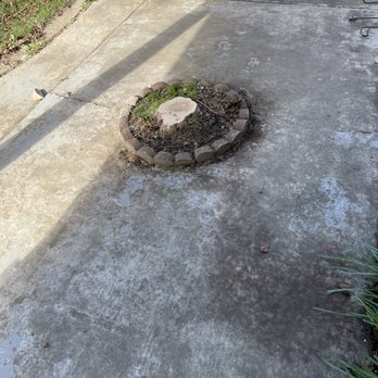 Stumpman - Tree Services Near Me Stumpman - Tree Services Near Me