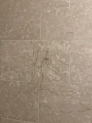 The Wall Street Inn by null