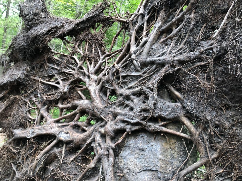 Purgatory Chasm State Reservation Image