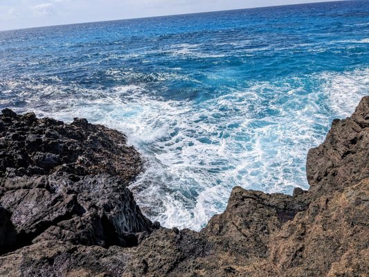 Halona Beach Cove by null