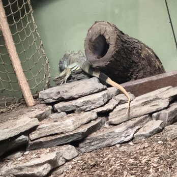 Popcorn Park Zoo - Zoos Near Me - Forked River, New Jersey