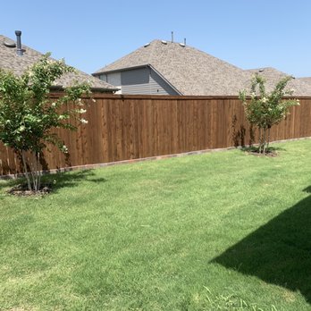 Treeland Nursery - Crepe myrtles - Nurseries & Gardening Near Me - Gunter, Texas Treeland Nursery - Crepe myrtles - Nurseries & Gardening Near Me - Gunter, Texas