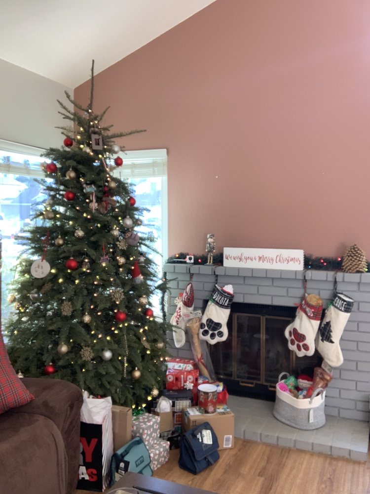 PINERY CHRISTMAS TREES Updated October 2024 18 Photos & 24 Reviews