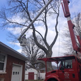 L & S Tree Service - Luke and his crew getting it done! - Tree Services Near Me - West Point, Kentucky L & S Tree Service - Luke and his crew getting it done! - Tree Services Near Me - West Point, Kentucky
