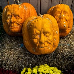 Very cool pumpkins