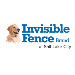 Invisible Fence