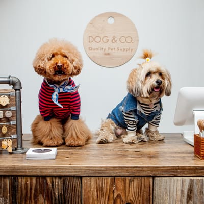 DOG & CO. by null