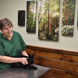 My Pet's Vet