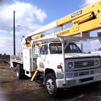 Bryant's Tree Service - Tree Services Near Me Bryant's Tree Service - Tree Services Near Me