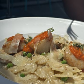 Mia Bella Trattoria - Sea Scallop Risotto (Farfalle substitute) - Italian Near Me - Houston, Texas