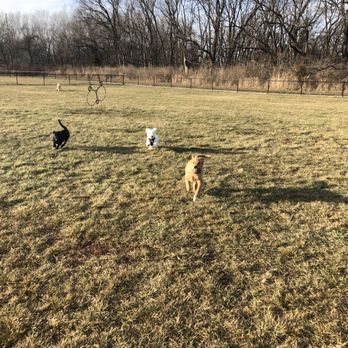 Tails and Trails - Grandview - Dog Parks Near Me - Grandview, Missouri Tails and Trails - Grandview - Dog Parks Near Me - Grandview, Missouri