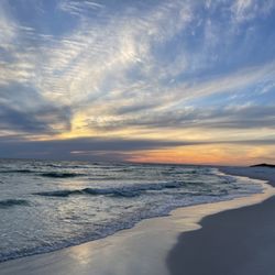 Coastal Wildlife Adventure