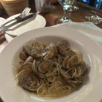 Cafe Sole - Clam linguini - Seafood Near Me - Key West, Florida Cafe Sole - Clam linguini - Seafood Near Me - Key West, Florida