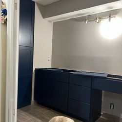 Cabinets To Go - Apparently my dog and the Annapolis Blue in the Master.